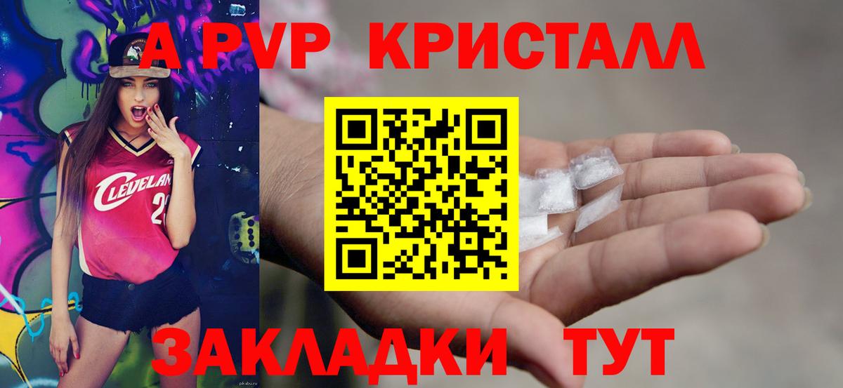 A PVP СК КРИС Балтийск