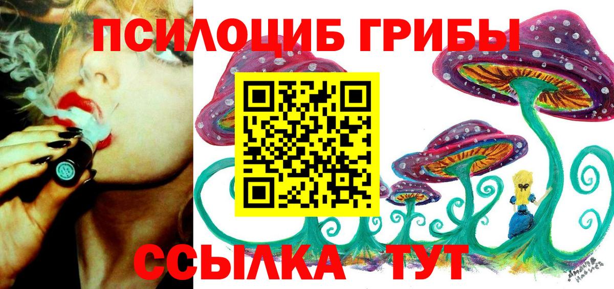 Псилоцибиновые грибы мухоморы Балтийск