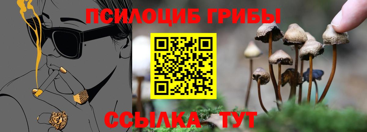 Галлюциногенные грибы Cubensis  Вход с VPN  Балтийск 
